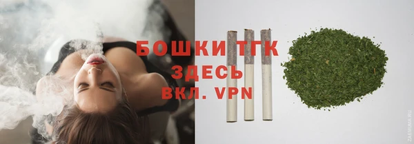 индика Нефтекумск