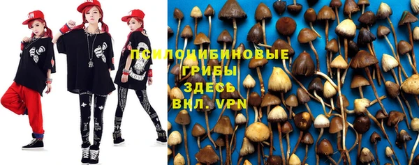 индика Нефтекумск