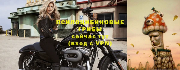 apvp Нея