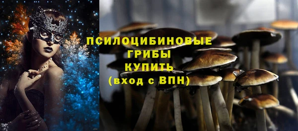 индика Нефтекумск