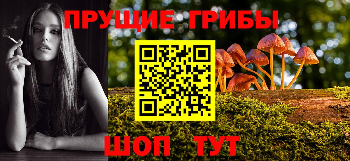 Челябинск  Галлюциногенные грибы Magic Shrooms  Вход с VPN  Галлюциногенные грибы Cubensis 