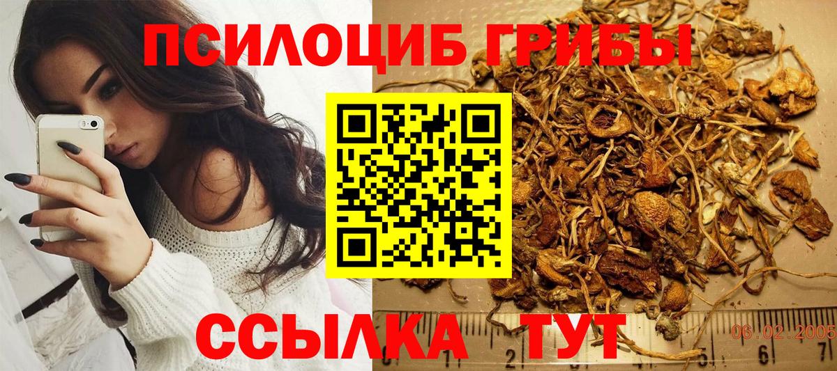 Псилоцибиновые грибы MAGIC MUSHROOMS Челябинск